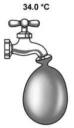 mc006-1.jpg
